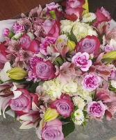 pink lavander flowers 