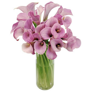 Pink Lavender Calla Lily Flowers Calla Lilly