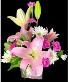 Pink Lily  Cube Pink Lily Arrangement