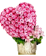 Pink Love $499.00 Pink Roses and Orchids