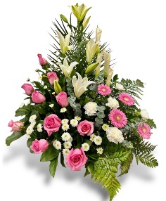 Category Image