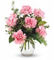 Pink Notion Vase 