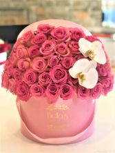 PINK-ON-PINK 60 ROSES & 2 ORCHIDS