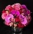 pink orchid  CENTERPIECE