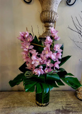 Pink Orchids Everyday