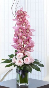 Pink Orchids  
