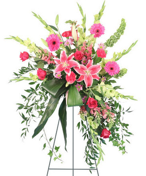 PINK COMFORT SPRAY FUNERAL FLOWERS in Jacksonville, FL - DINSMORE FLORIST  INC.