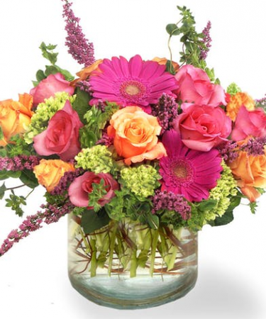 Pink Passion