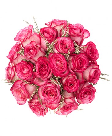Pink Passion Rose Bridal Bouquet in Coconut Grove, FL | Luxury Flowers