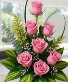 Pink pastel  roses 