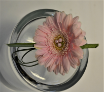 PINK PEARL BOUTONNIERE IN STORE PICK ONLY BOUTONNIERE