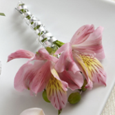 Pink Peruvian Lily Boutonniere Boutonniere