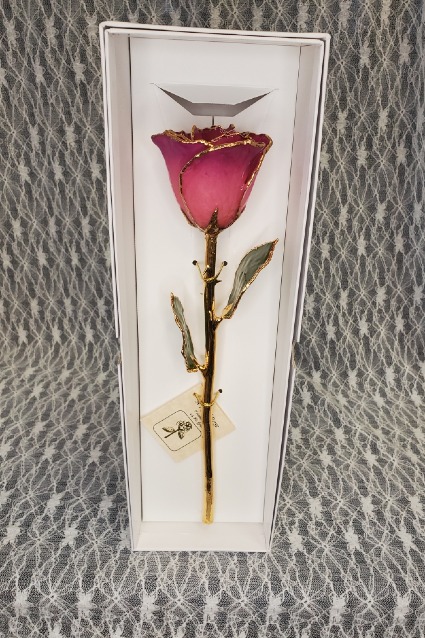 Pink Picasso Gold Dipped Rose 