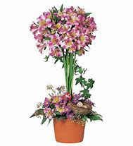 Pink Pop Fresh Vase Arrangement