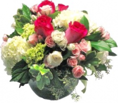 Category Image