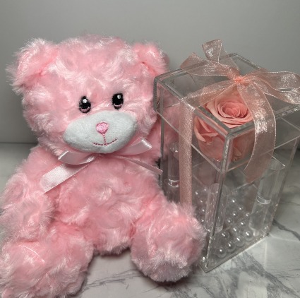 PINK PRESERVED ROSE BOX BUNDLE  