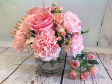 Pink Puff  in Easton, CT | Felicia's Fleurs