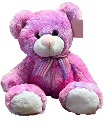 Pink & Purple Bear Plush in Mcminnville, OR | POSEYLAND FLORIST