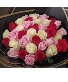 Pink red and white 3 dozen roses Any occasion 