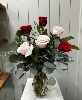 Pink & Red Half Dozen Roses 