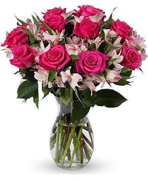 Pink Rhapsody 