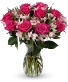 Pink Rhapsody 