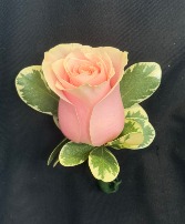 Pink Rose  Boutonniere