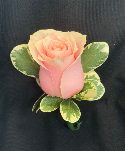 Pink Rose  Boutonniere