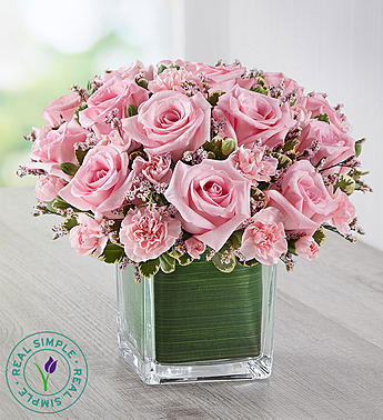 PINK ROSE FANCY