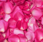 PINK ROSE PETALS (ONLY AVAILABLE IN-STORE) 