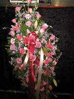 Category Image