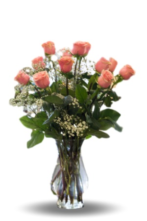 Pink Roses