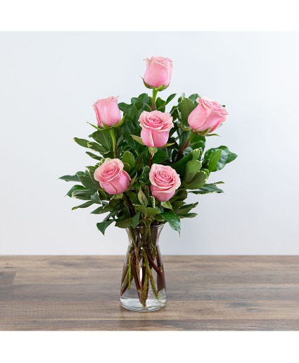 Pink Roses (6) Roses