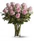 PInk Roses 