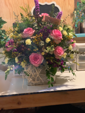 Pink roses Every day