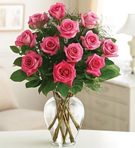 Pink Roses with Love 