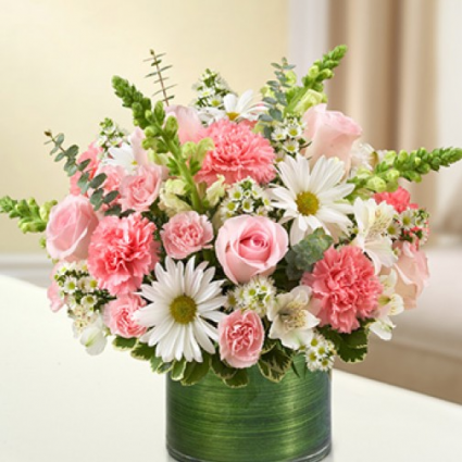 Pink Sherbet Cylinder Vase
