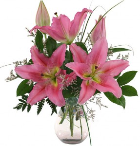 Pink Stargazers Vase