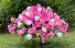 Purchase this funeral home arrangement