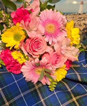 PINK SPLASH Off the shores of Nova Scotia
