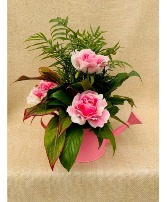 Pink Sprinkles Dish Garden Planter