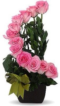 Pink Staircase Roses 