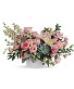 Pink succulent 
