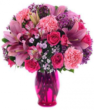 pink surprise 