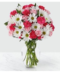 Category Image