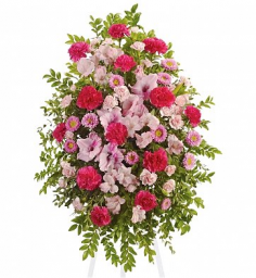Category Image