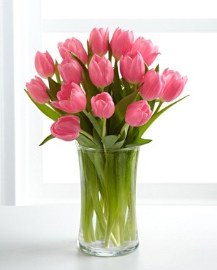 Tulip Vase SPECIAL All Clolors
