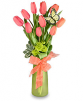 Colorful Tulips(Color May vary Fresh tulips 