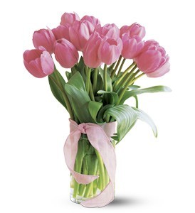 Pink Tulips , assorted colors 10 stem Vased Arrangement