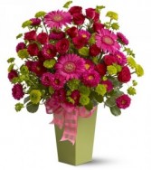 Pink Twist HFWEB374